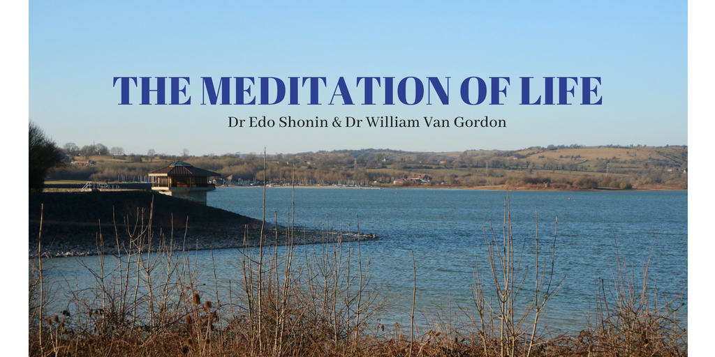 THE MEDITATION OF LIFE