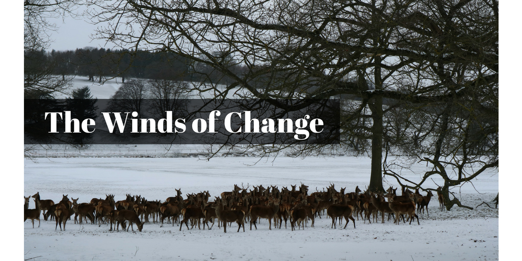 The winds of change (1)